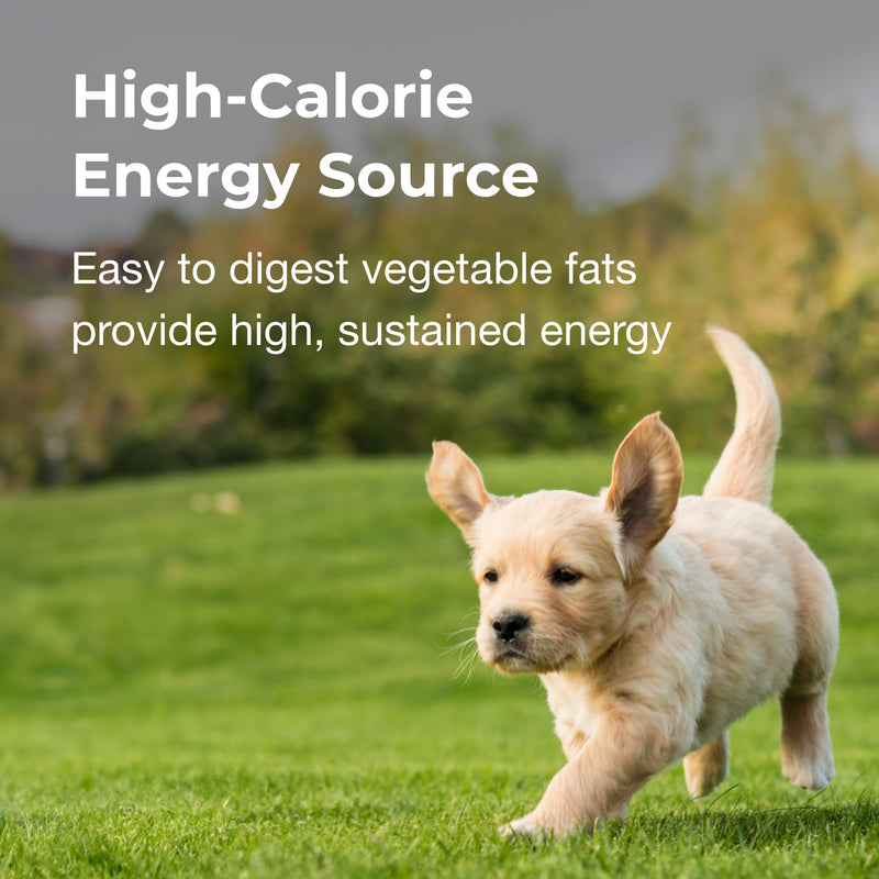 Pet-Ag High Calorie Gel Supplement for Dogs - 5 oz - Chicken Flavor - Provides Extra Calories for Dogs 8 Weeks and Older - Easy to Digest - PawsPlanet Australia