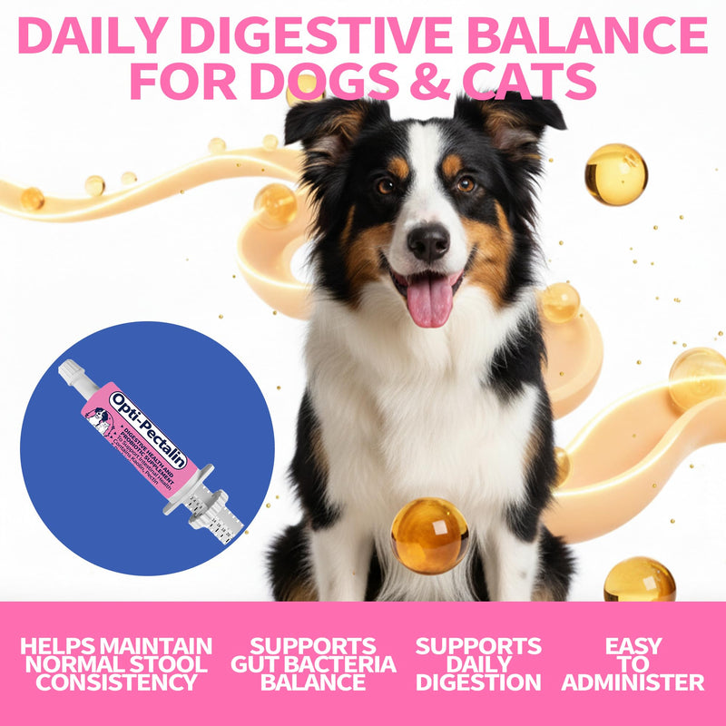 30cc-Anti-Diarrheal Support for Dogs & Cats –Digestive Relief Oral Paste with Kaolin, Pectin & Probiotics – Helps Soothe Upset Stomach & Firm Loose Stool