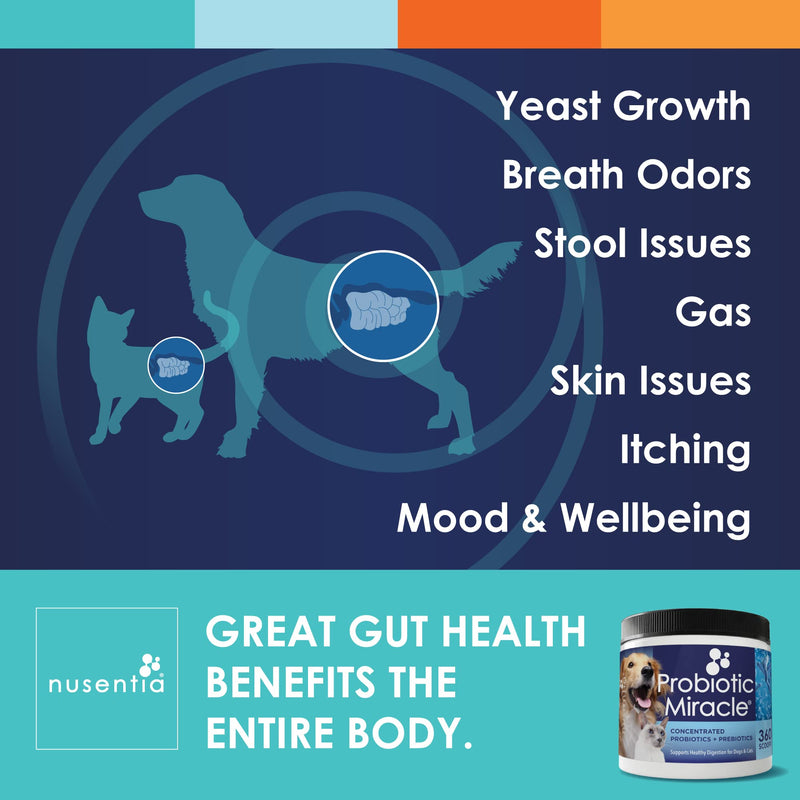 NUSENTIA Probiotic Miracle Dog Probiotics for Dogs (Up to 360 Servings) - PawsPlanet Australia