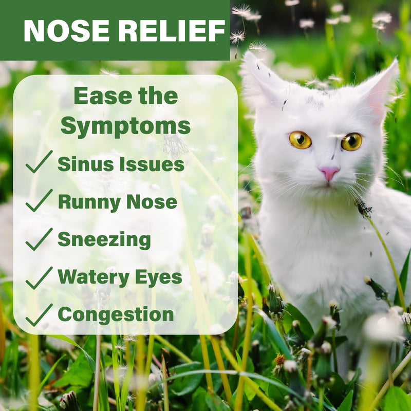 Cat Sneezing Support Liquid – Feline Nasal & Sinus Oral Supplement, 100 ml with 3 ml Dropper – Gentle Homeopathic Formula for Daily Respiratory Comfort