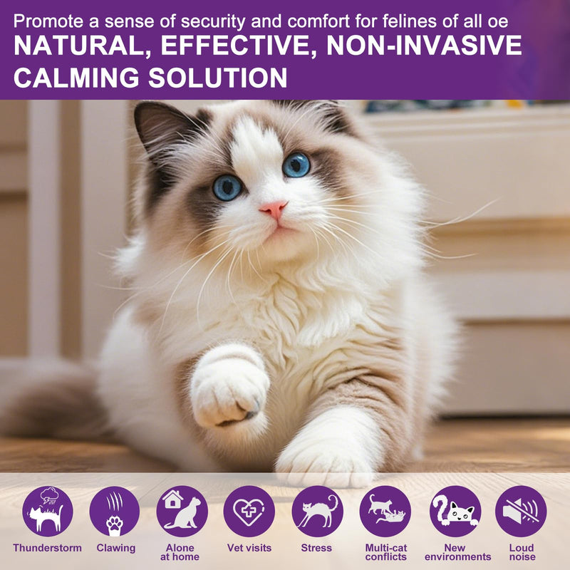 Calming Pheromone Diffuser for Cats Relieves Anxiety and Stress Calming 1 Diffuser for Cats 3 Refills, Reduces Fighting and Scratching Calming Relaxation