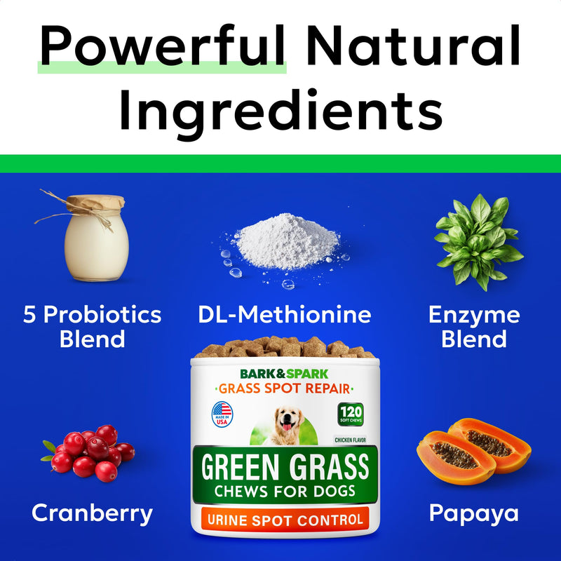 BARK&SPARK Green Grass Chews - Pee Grass Spot Saver Caused by Dog Urine - Urine Neutralizer for Lawn, Gut Health Probiotics & Digestive Enzymes,Lawn Burn from Dog Urine, Grass Burn Spot Chews (240Ct) 240Ct (Chicken)