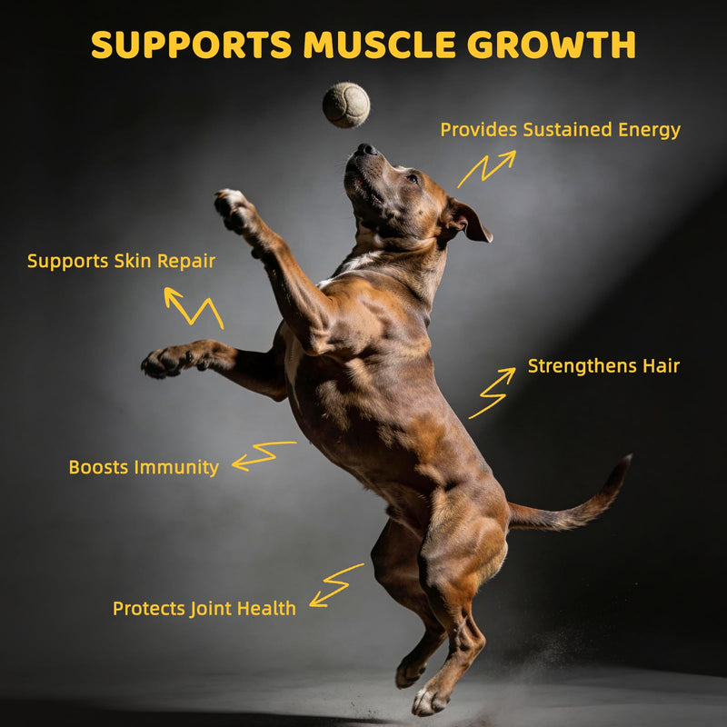 4-in-1 Muscle Gain Chews for Dogs: High Protein Supplement with BCAAs, Glucosamine & Salmon Oil – Premium Muscle Builder for All Breeds, Puppies to Senior – Salmon Flavor Soft Chews, 100 Tabs Black