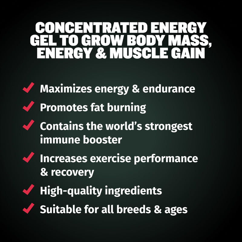 Bully Max 3-in-1 Liquid Dog Muscle Builder for Puppy and Adult Dogs - Dog Vitamins & Supplements for Performance, Energy, Recovery, Immune Support, Skin, Coat Health - Canine Supplement for All Breeds