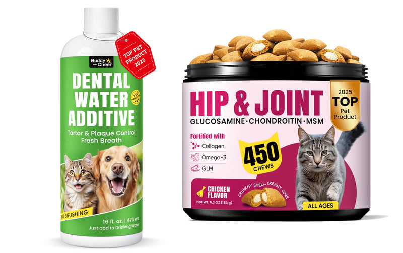 Cat Oral & Joint Support Bundle – Dental Water Additive with Joint Support Creamy-Filled Treats for Mobility & Daily Comfort