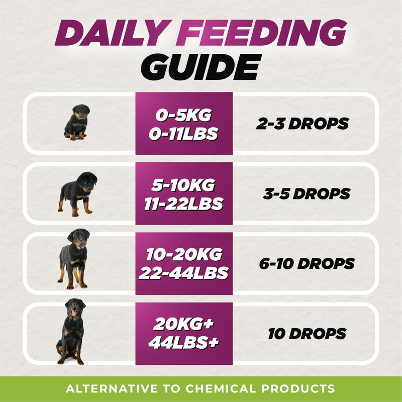 Natural Dewormer for Dogs | 100% Natural | Contains 3 Medicinal Herbs | Supports Intestinal & Gut Health | Gentle & Effective Formula - PawsPlanet Australia