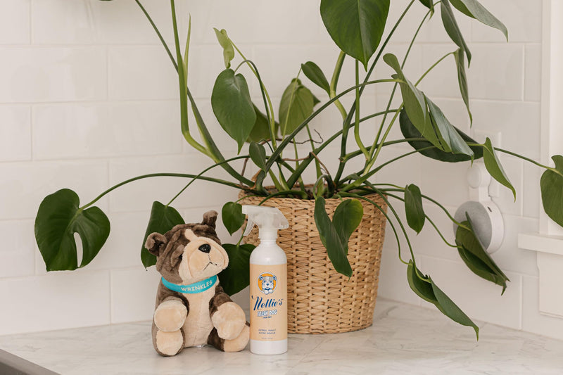 Nellie's Fresh Dog - Waterless Dog Shampoo - Oatmeal Mango Fragrance, Enzyme Blend, Plant-Based, and Non-Toxic - Ideal for All Dog Breeds, Long-Haired or Short - Eco-Friendly Grooming (16 fl oz) - PawsPlanet Australia