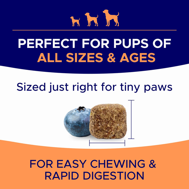 Dog Allergy + Mobility Bundle - Anti-Itch Skin & Coat + Hip & Joint Support - w/ Omega 3, Glucosamine, Chondroitin & MSM - Itching & Paw Licking Relief + Joint Pain Aid - 300 Chews - Made in USA - PawsPlanet Australia
