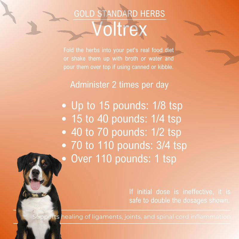 Voltrex Ligament and Spinal Cord Inflammation Relief for Dogs by Gold Standard Herbs, All Natural Bupleurum and Cinnamon Twig, 85 gram powder, White - PawsPlanet Australia