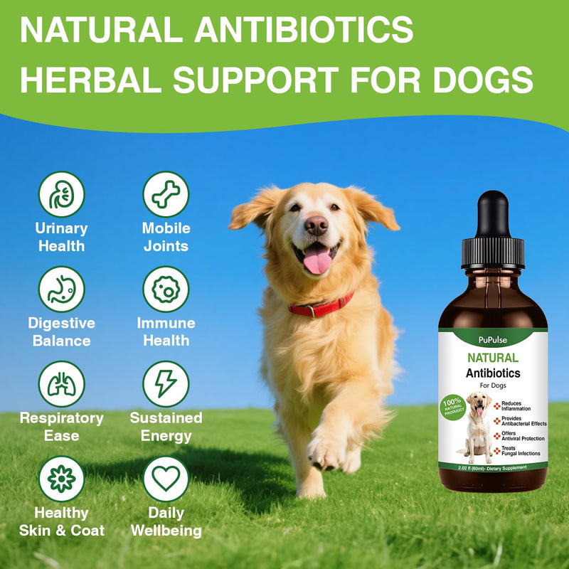 Antibiotics for Dogs | Natura Antibiotics for Dogs | Dietary Supplement Pet Antibiotic | Dog Vitamins and Supplements | Dog Antibiotic | 2 Oz