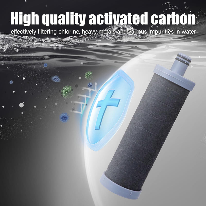 Carbon Shower Filter Cartridge 2PCS, Compatible with Shower Filter System, Reduces Chlorine, Heavy Metals & Impurities 2