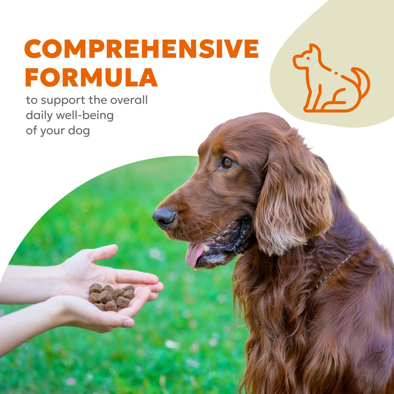 Canine Multi Soft Chews | Chewable Supplements for Dogs, Dog Supplement, Glucosamine, Chondroitin & Multivitamins | 60 Chews (180g, 6.35 oz.) - PawsPlanet Australia