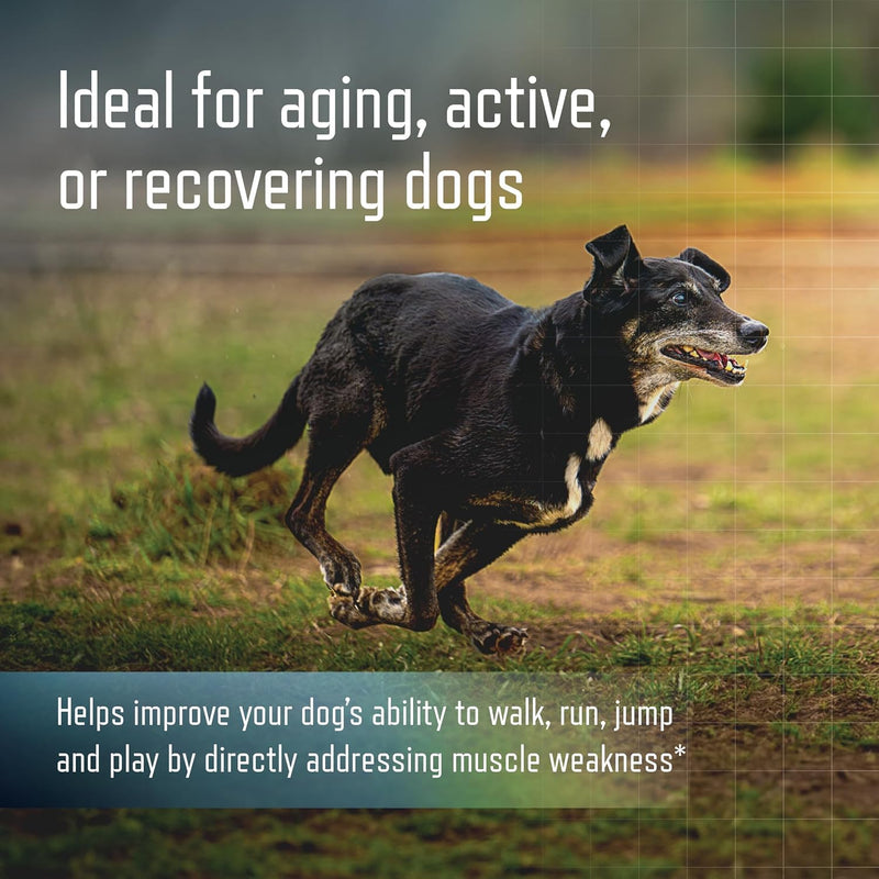Virbac URSOLYX™ Soft Chews for Dogs | Muscle Health Support for Senior, Active or Recovering Dogs, Medium 30-60lbs | 60 Count 2- Month Supply 1 Pack (60 count)