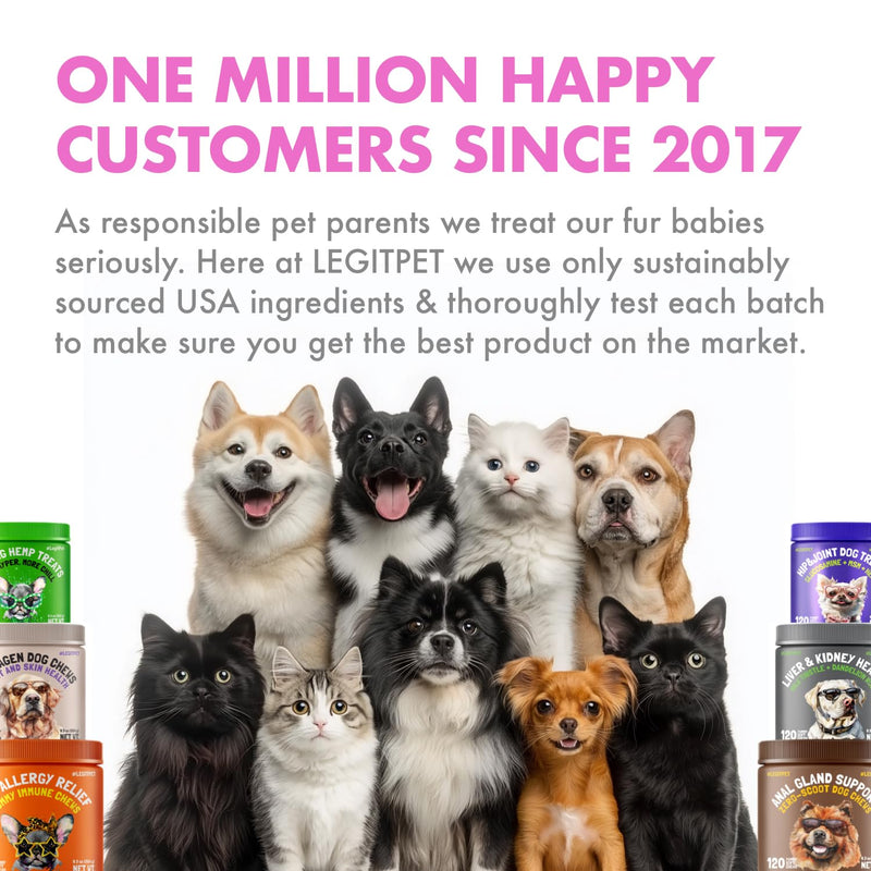 Probiotics for Dogs Natural Digestive Enzymes Prebiotics for Allergy Itch Relief Gut Flora Coprophagia Bowel Support Treatment Anti Diarrhea for Dogs Pet Health Immune System Support 30 Soft Chews Probiotic