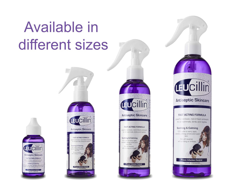 Leucillin Natural Antiseptic Spray - Antibacterial Antifungal Antiviral for Dogs Cats All Animals Itchy Skin Minor Wound Care and Skin Health | 500ml 500 ml (Pack of 1) - PawsPlanet Australia
