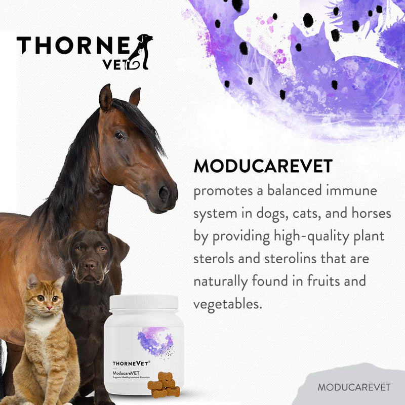 ThorneVet ModucareVET – Immune System Support from Plant Sterols for Dogs, Cats & Horses, 90 Soft Chews - PawsPlanet Australia