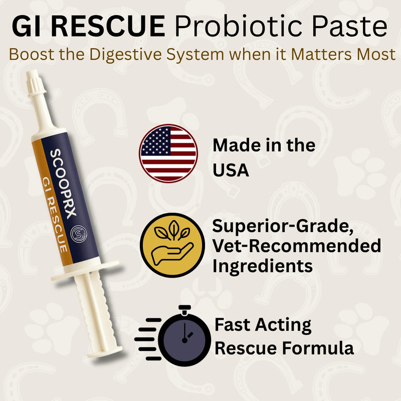 Horse Digestive Support System | Emergency & Daily GI Balance | Probiotic Prebiotic Formula | for Colic Gas Diarrhea & Stress | No Fillers No Sweeteners | ScoopRx USA Made |Paste 15ml (Pack of 1) Pack of 1 GI Rescue Paste