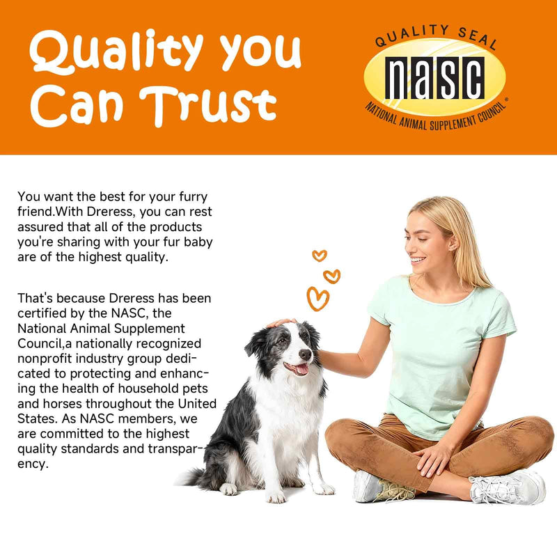 Salmon Oil for Dogs Skin and Coat, Omega 3 Fish Oil Chews, Dog Allergy Relief Chews, Itch Relief Supplement, 120 Count, Salmon Flavor