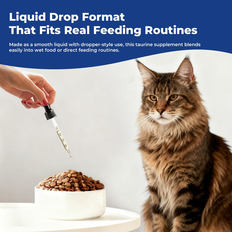 Taurine Supplement for Cats Liquid Drops, Essential Taurine Support for Heart Health, Vision & Immune Function, Daily Feline Nutrition Supplementt, 60 mL × 2 Bottles