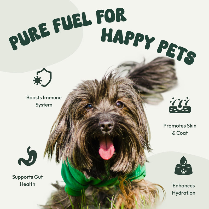 Goat Milk Powder for Dogs & Cats – Probiotics for Puppies & Kittens, High Protein Powdered Milk Supplement – Puppy Food Milk Replacement, Dog Food Topper for Digestion, Skin & Coat Support (7.5 oz) Goat Milk 7.5oz