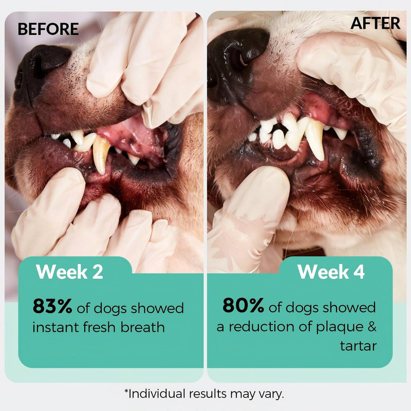 Dog Multivitamin Powder & Dog Dental Powder, Chicken Flavor