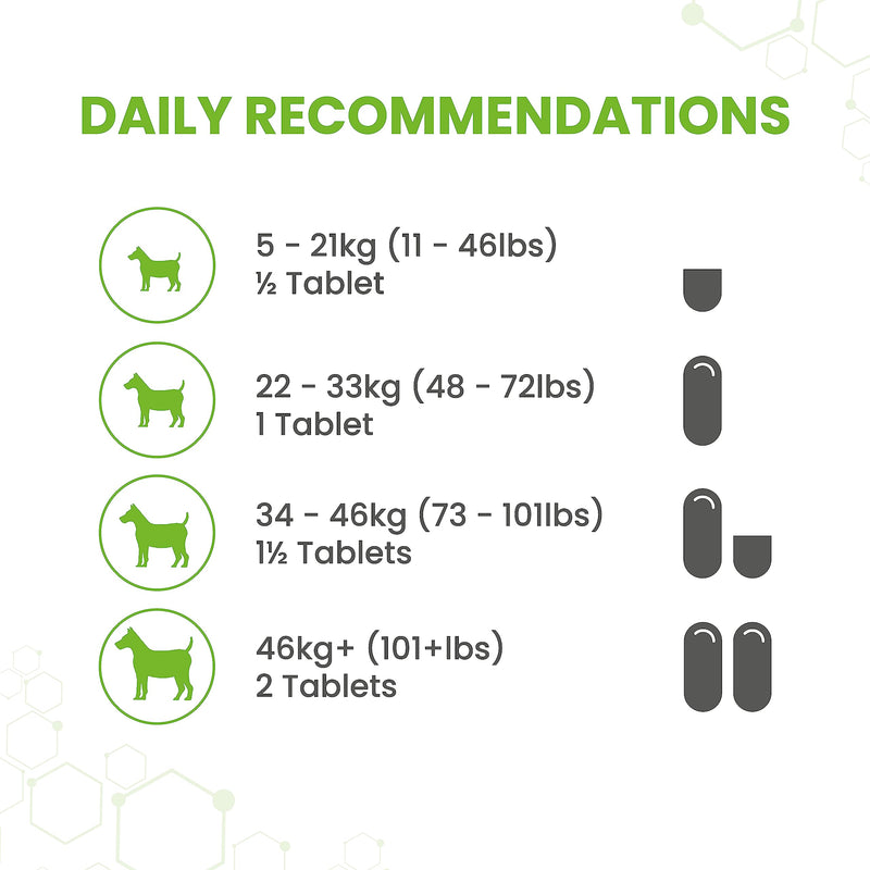 Dog Dry Skin with Evening Primrose - PawsPlanet Australia