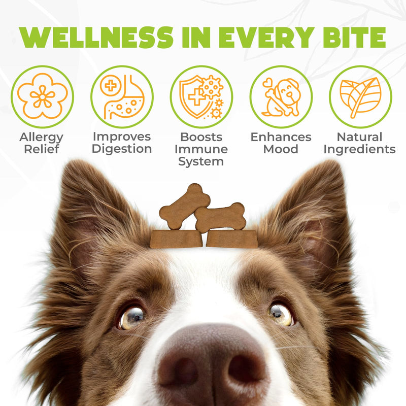 Dog Allergy Chews - 150 Pcs - Allergy Relief for Dogs - Supplements for Itchy Skin & Paw Licking - US Formula with Probiotics, Natural Ingredients & Vitamins - Chicken Flavor