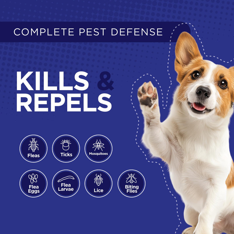 TevraPet Activate II Flea and Tick Prevention for Dogs | 4 Count | Extra Large Dogs 55+ lbs | Topical Drops | 4 Months Flea Treatment (Pack of 2) X-Large 55+ lbs (Pack of 2)