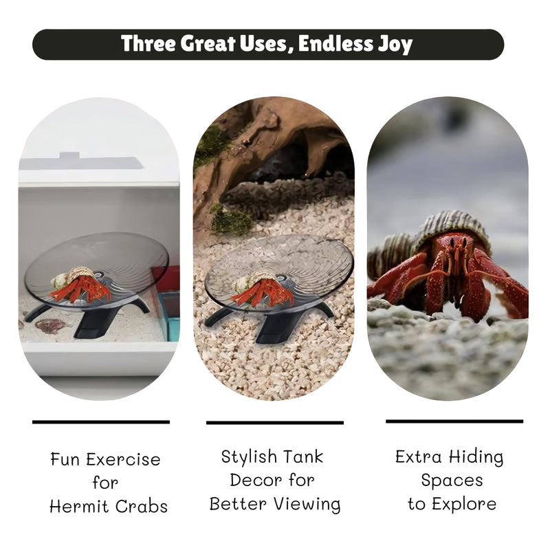 Hermit Crab Running Wheel Toy, Hamster Exercise Wheel, Small Animal Cage & Tank Accessory for Hermit Crabs, Hamsters, Rats, Gerbils, for Active Play and Exercise - PawsPlanet Australia