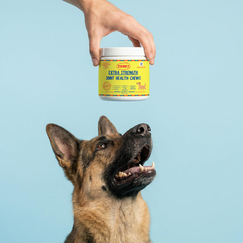 Zoomies Hip & Joint Supplement for Dogs - Soft Chews with Eggshell Membrane, Boswellia, MSM - Joint Support for Senior Dogs - Made in USA - 60 Chews 60 Chews (Pack of 1)