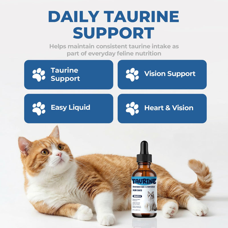 Taurine Supplement for Cats Liquid Drops, Cat Taurine with Coenzyme Q10 & L-Carnitine, Supports Heart Function, Vision & Daily Energy, Helps Maintain Consistent Taurine Intake (60 ml (Pack of 1)) 60 ml (Pack of 1)