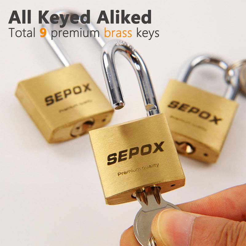 SEPOX® 6 Pcs Pack Heavy-Duty Solid Brass Padlocks with Same Keys 9 Pcs, Weather Proof Body 40mm 1-9/16", Anti-Rust & Anti-Cut Shackle, Outdoor Lock Keyed Alike for Gates, Shed, Fence, Gym Locker 6pcs