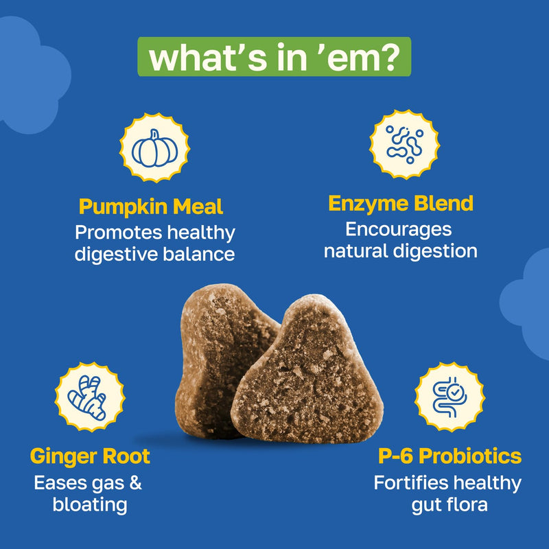 Happy Paws Digestive Support Supplement & Dog Probiotics, Supports Gut Health & Diarrhea with Enzyme Blend & Ginger Root, Pumpkin Flavor, Organic, Non GMO, 100 Soft Chews 100 Count