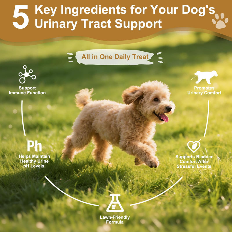 Petnanny Urinary Tract Support Soft Chews for Dogs, Cranberry Supplement for Dogs, Supports Bladder Health, pH Balance & Immunity, Chicken Flavor