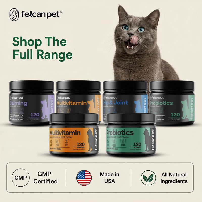 Cat Probiotic Powder for Digestive Balance & Gut Health – Daily Pet Supplement with Pumpkin, Papaya & 6 Probiotic Strains – Supports Gut Flora & Digestive Comfort – 120 Scoops
