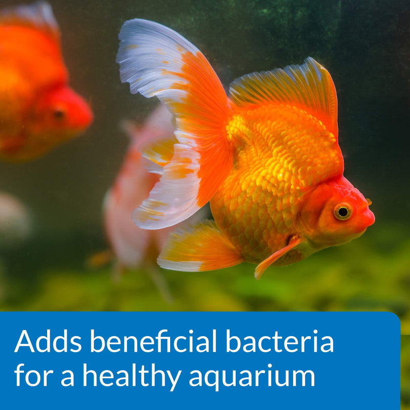 API Goldfish Protect Aquarium Water Conditioner 4-Ounce Bottle (Pack of 2) Water Conditioner (Pack of 2)