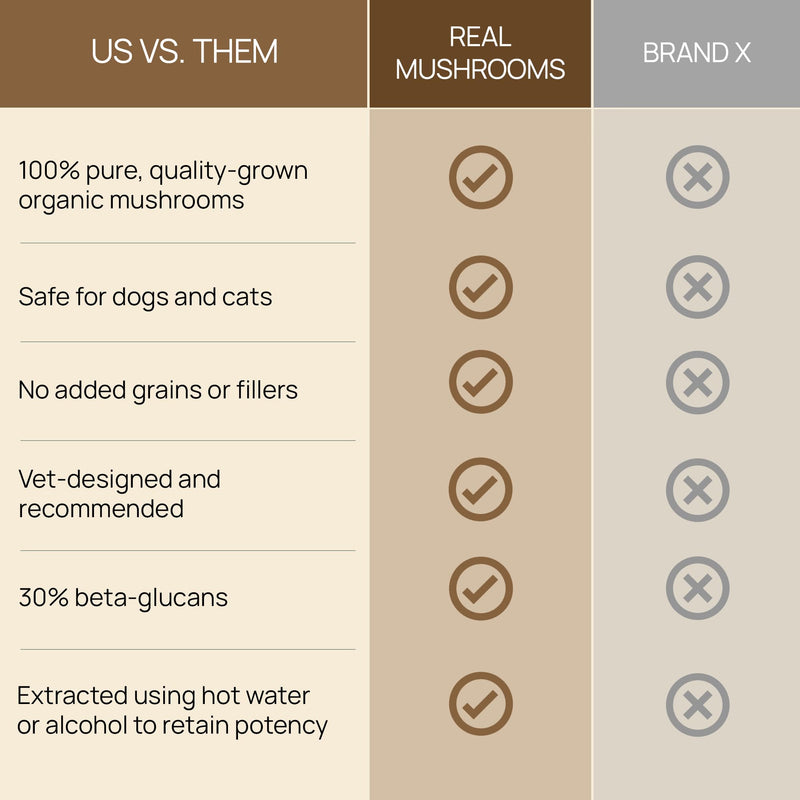Real Mushrooms Lion’s Mane Pet Mushroom Supplement – Pet Wellbeing Capsules – for Cat & Dog Supplement & Vitamins – Support Mindful Routines – Organic, Vegan, Non-GMO, 120 Count Capsule