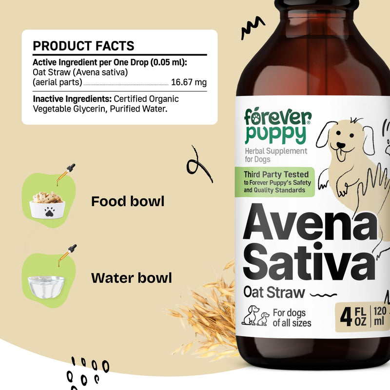 Avena Sativa Extract for Dogs - Oat Straw Herbal Drops for Calm & Relaxation Support - Pet Composure & Calming Care for Dogs w/Liquid Mood Support Supplement - 4 oz 4 fl oz - PawsPlanet Australia