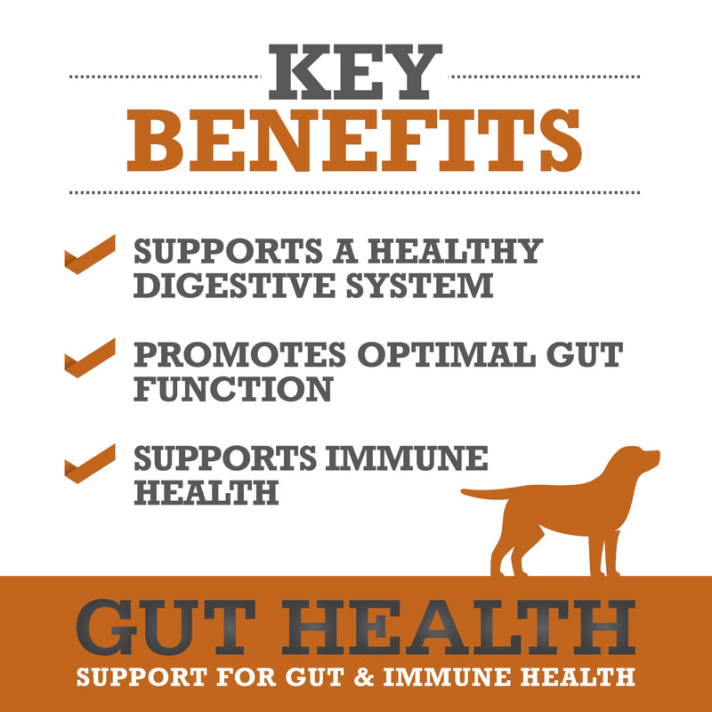 WINPRO Pet Gut Health & Probiotic + Plasma Meal Topper Bundle for Dogs (Plasma Powered Soft Chews and Meal Topper Powder for Digestive Health and Immune Health Support) Gut Health- Meal Topper Bundle