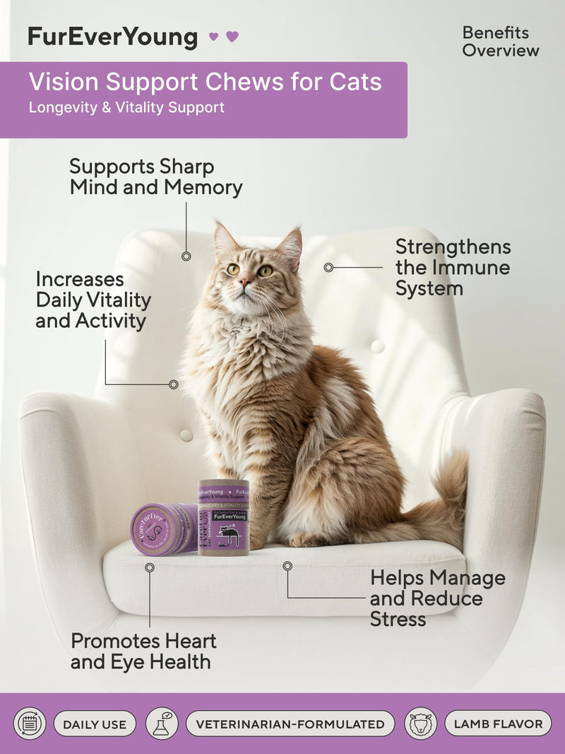 Supplement Treats for Senior Cats: Vision & Brain Function, Longevity & Overall Vitality, Immune Health for Aging Cats. Enriched with Breakthrough Active Ingredients (30 Days Supply)