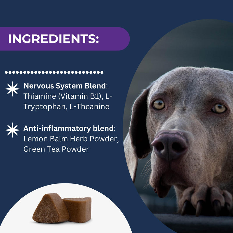 Calm & Relax Soft Chew Supplements for Dogs - Reduce Stress & Anxiety, Behavioral Support, Promote Rest & Relaxation for Active Dogs Calm & Relax - PawsPlanet Australia