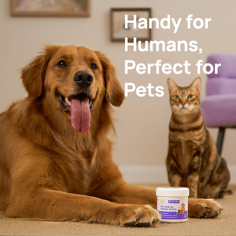 HICC PET Teeth Cleaning Wipes for Dogs & Cats, Remove Bad Breath by Removing Plaque and Tartar Buildup, Disposable Dog Finger Toothbrush Gentle Pet Dental Care Wipes, 50 Counts, (Mint Scent) Mint 1.54" Wide (50 Count) - PawsPlanet Australia