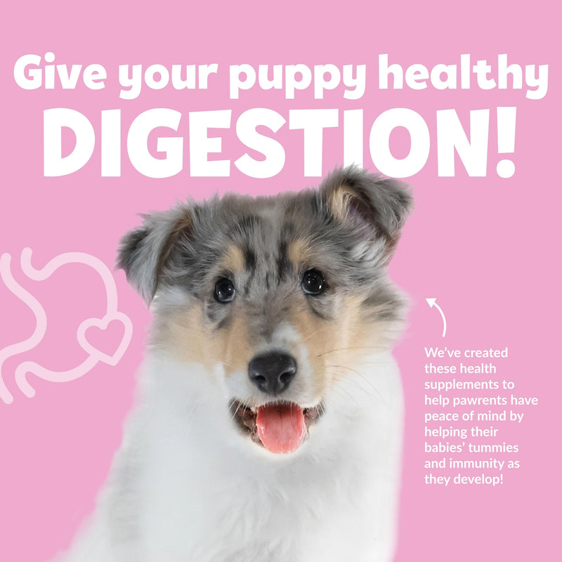 Snuggle Puppy Puppy Bites Gut Health Supplement - Dog Probiotics & Prebiotics for Gut Health - Pet Supplement and Supplies for Dog Health - Dog Digestive Health Support - 60 Soft Chews - PawsPlanet Australia