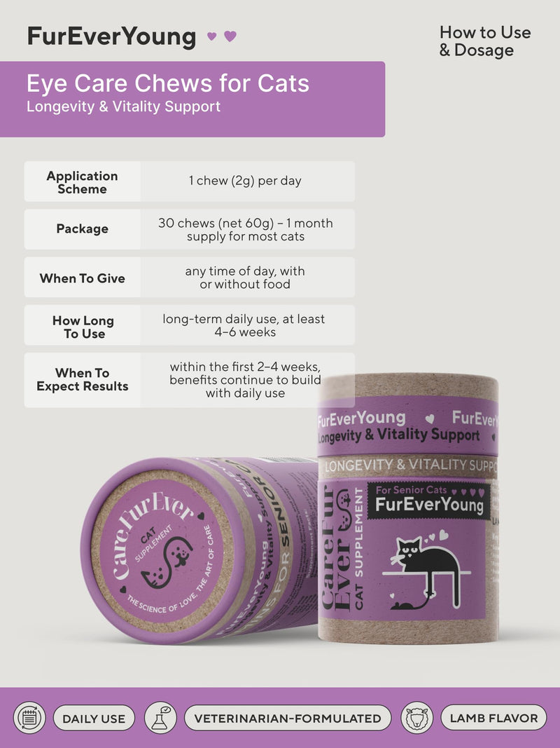 Supplement Treats for Senior Cats ~ Vision & Brain Longevity | Premium Feline Supplement | Functional Mushroom Complex + Taurine | Vet-Formulated with DHA, Arachidonic Acid & L-Arginine