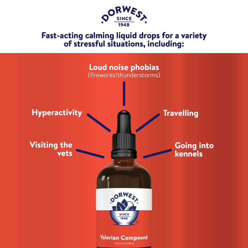 Dorwest Valerian Compound for Dogs and Cats, 100ml & Scullcap & Valerian Calming Tablets for Dogs and Cats, 200 Tablets, Non-Drowsy, Light Yellow Tablet, 14DOR017 + Scullcap & Valerian - PawsPlanet Australia