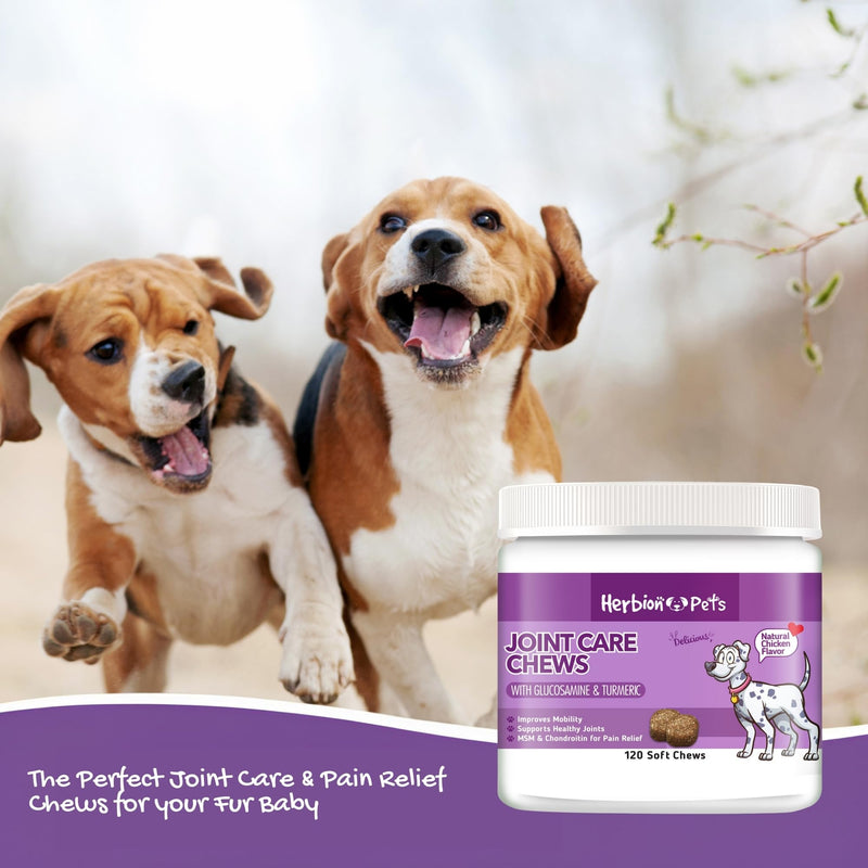 Herbion Pets Joint Care Chews with Glucosamine & Turmeric, 120 Soft Chews, MSM & Chondroitin for Pain Relief, Improves Mobility, Supports Healthy Joints, Made in The USA - for Dogs 12 Weeks+ - PawsPlanet Australia