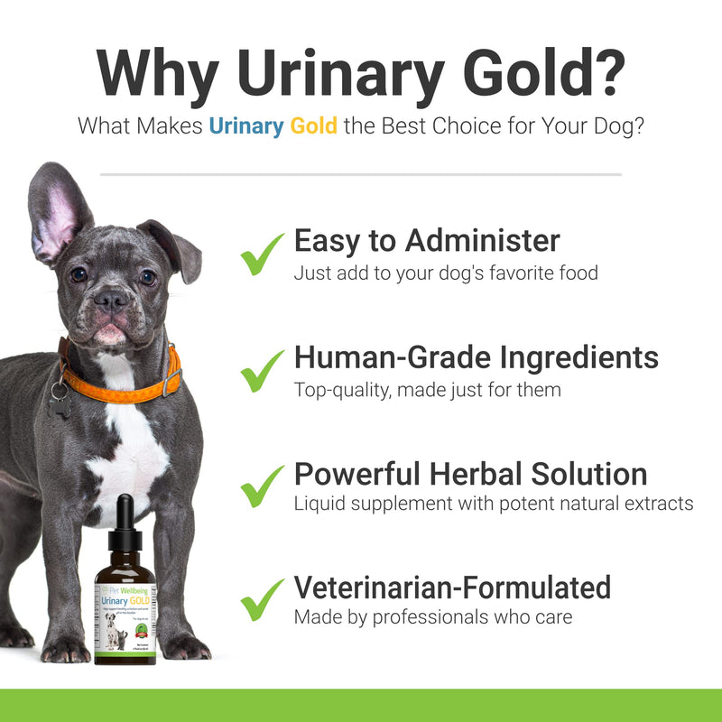 Pet Wellbeing - Urinary Gold for Dogs - Natural Support for Dog Urinary Tract Health 2oz - PawsPlanet Australia