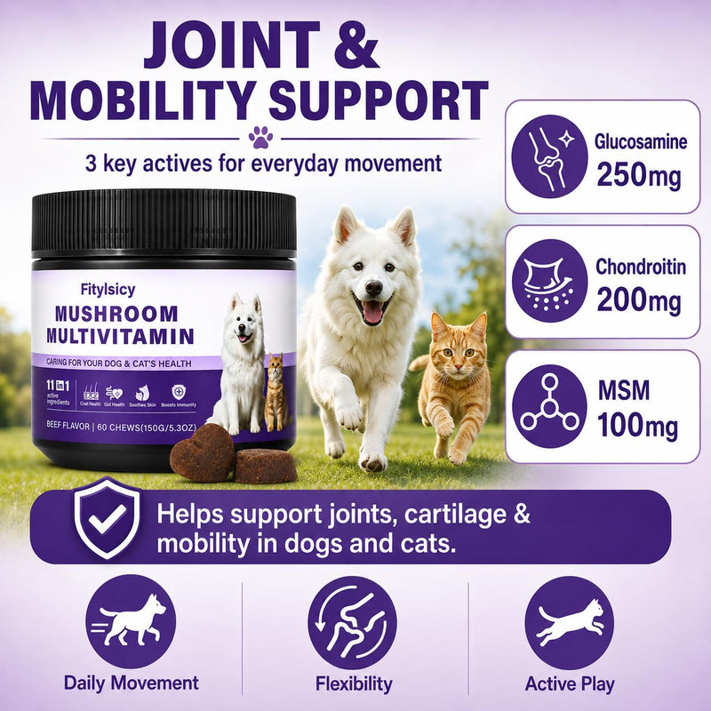 Mushroom Supplement for Dogs & Cats, 11-in-1 Pet Multivitamin Soft Chews, 13 Organic Mushrooms with Glucosamine, Chondroitin, MSM & Omega-3, Immune, Gut, Joint, Skin & Coat Support, Beef, 60 Count