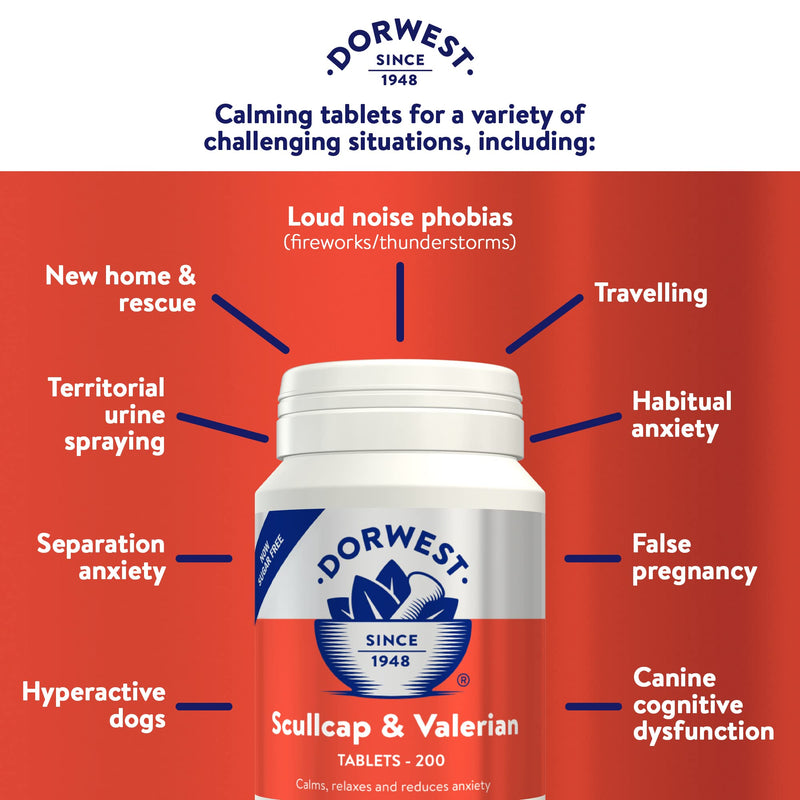 Dorwest Valerian Compound for Dogs and Cats, 100ml & Scullcap & Valerian Calming Tablets for Dogs and Cats, 200 Tablets, Non-Drowsy, Light Yellow Tablet, 14DOR017 + Scullcap & Valerian - PawsPlanet Australia