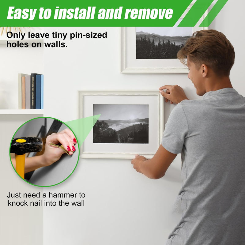 169 Picture Hook Sets, 10-100lb Picture Hanging Kit, Boxed 83 Metal Picture Hangers and 86 Nails, Suitable for Wooden Walls, Plasterboard Picture Hooks.